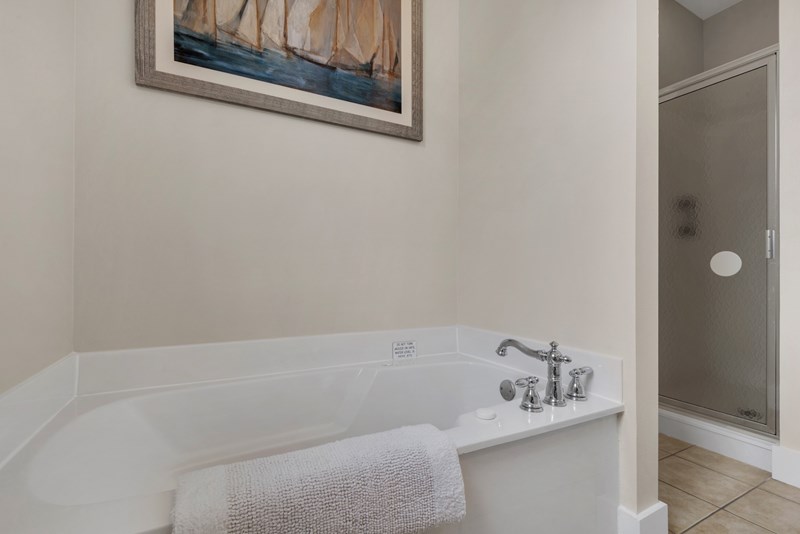 Upstairs Master Bath Jacuzzi